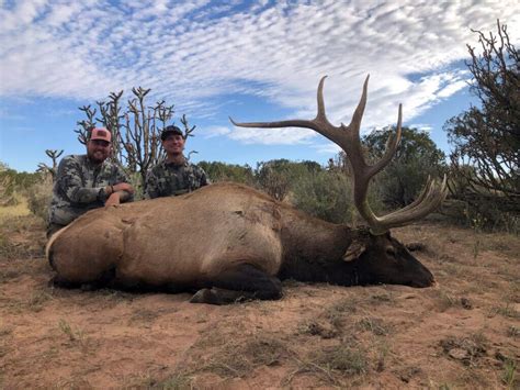 com membership, a realistic expectation for <b>unit</b> 5b is 260 - 300", with trophy potential of only 300+. . New mexico unit 17 landowner elk tags